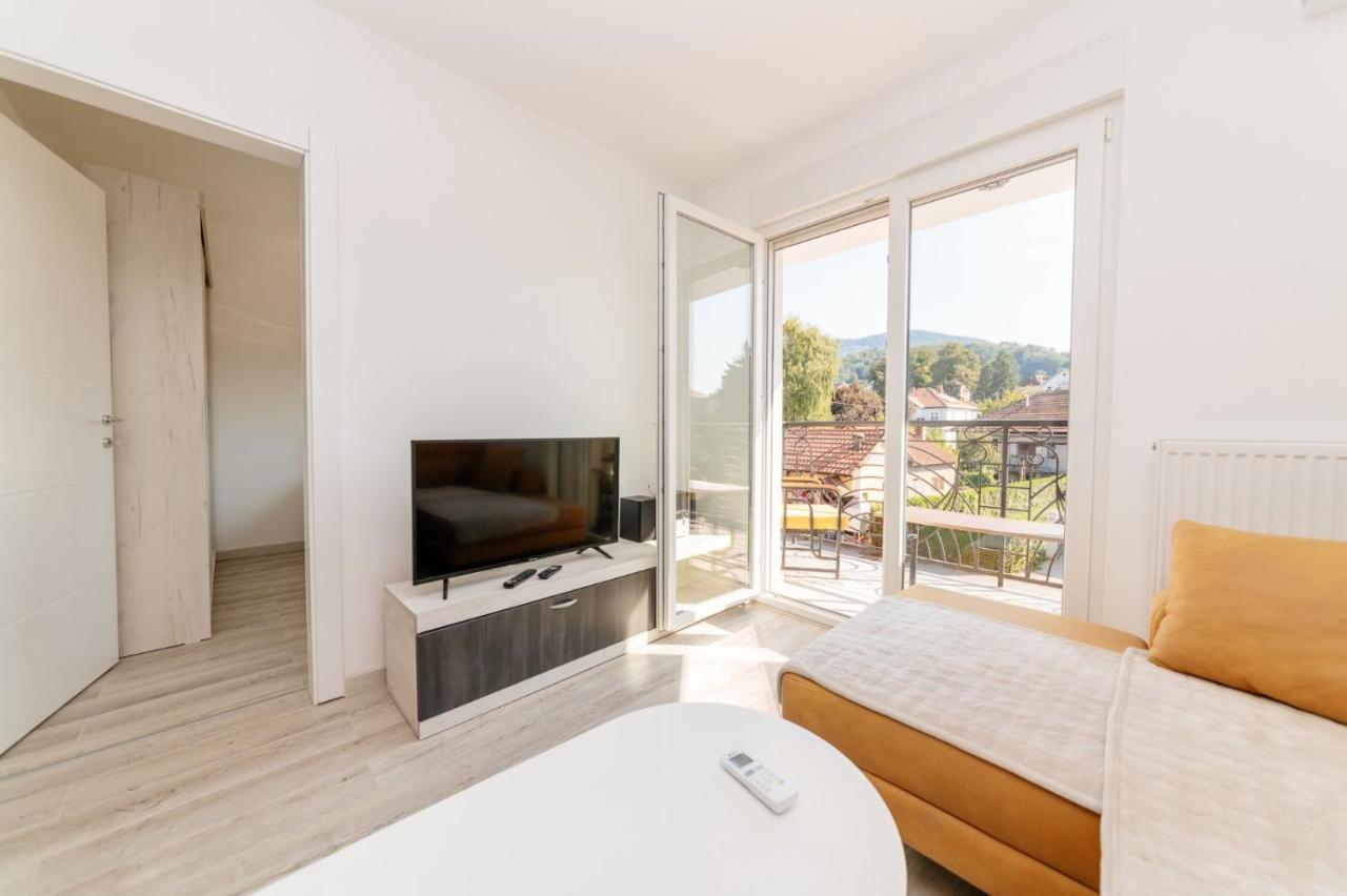 Apartman Jovana Banja Koviljača Екстериор снимка